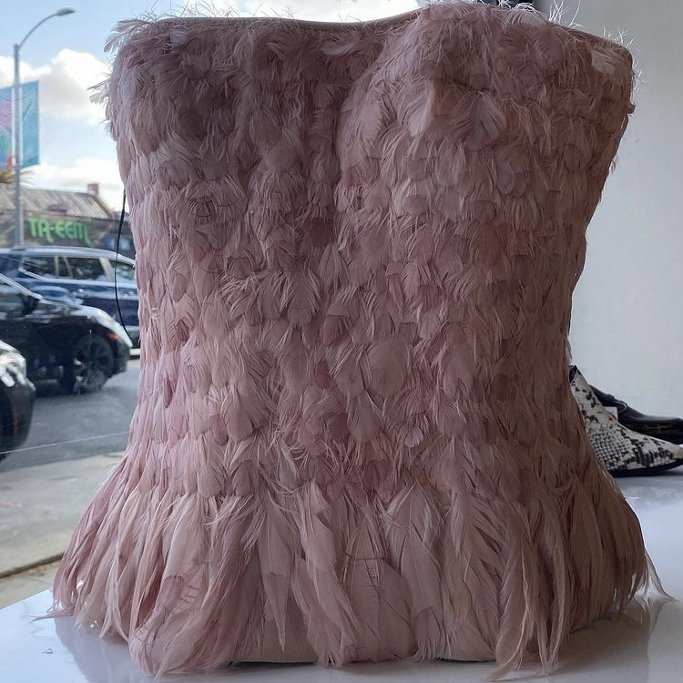 photo of pink feather bustier