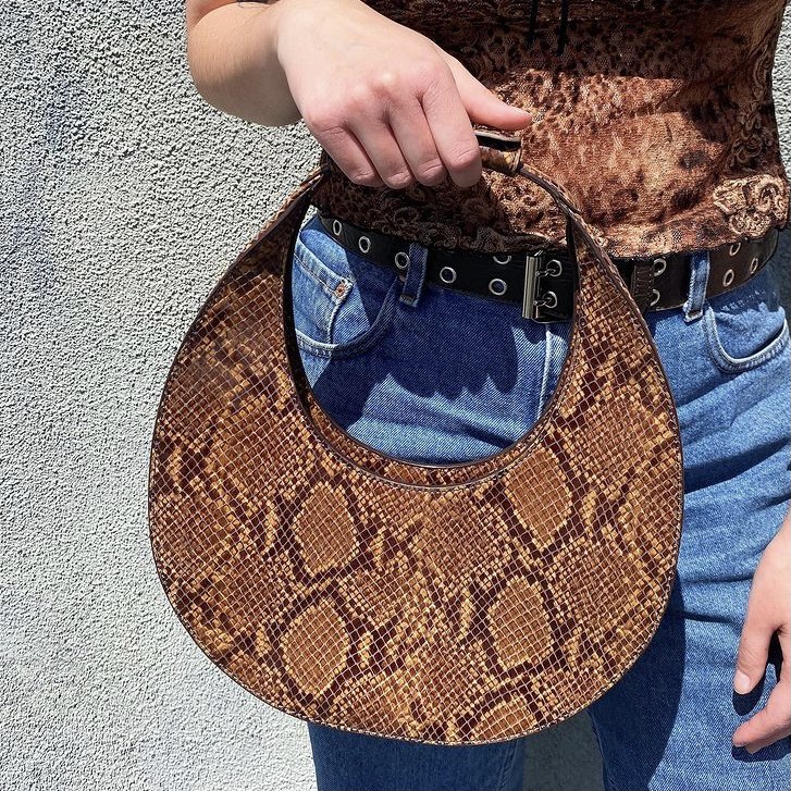 photo of reptile handbag