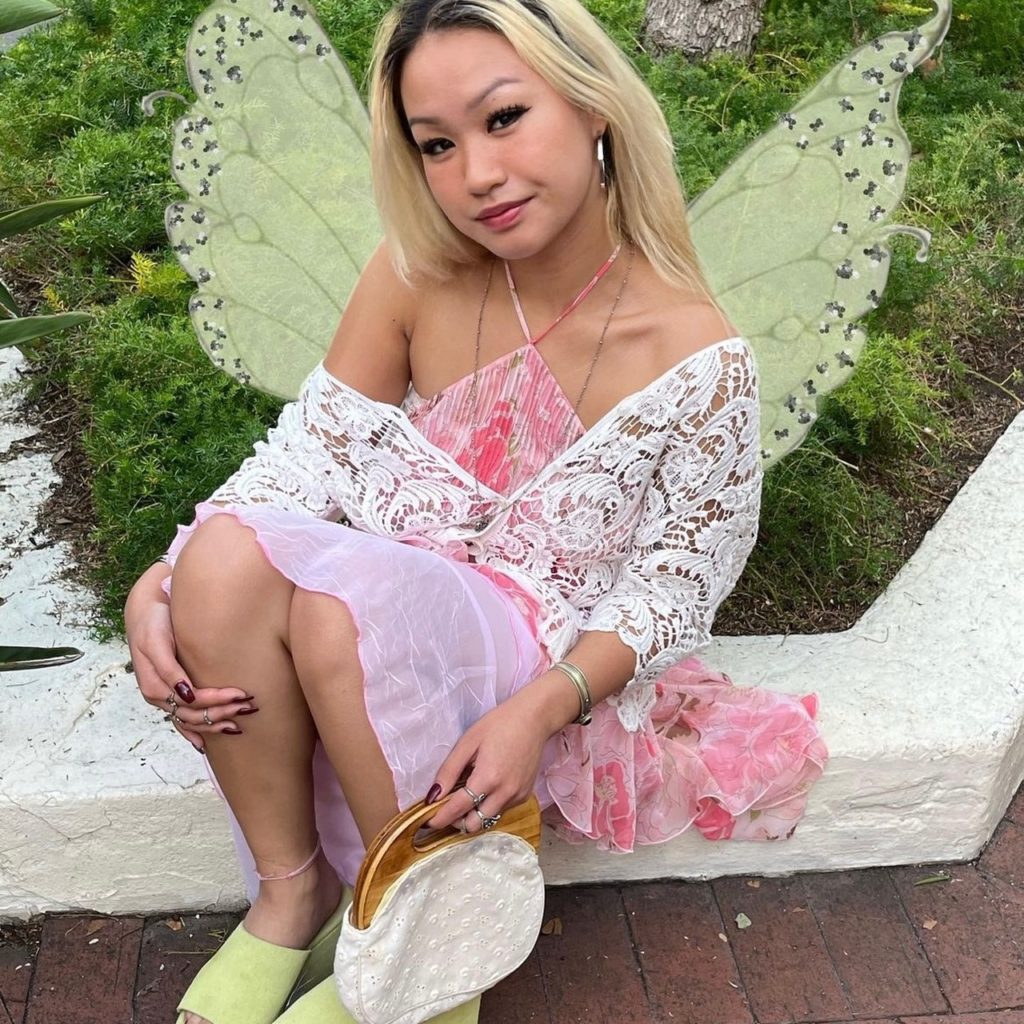 photo of fairy outfit
